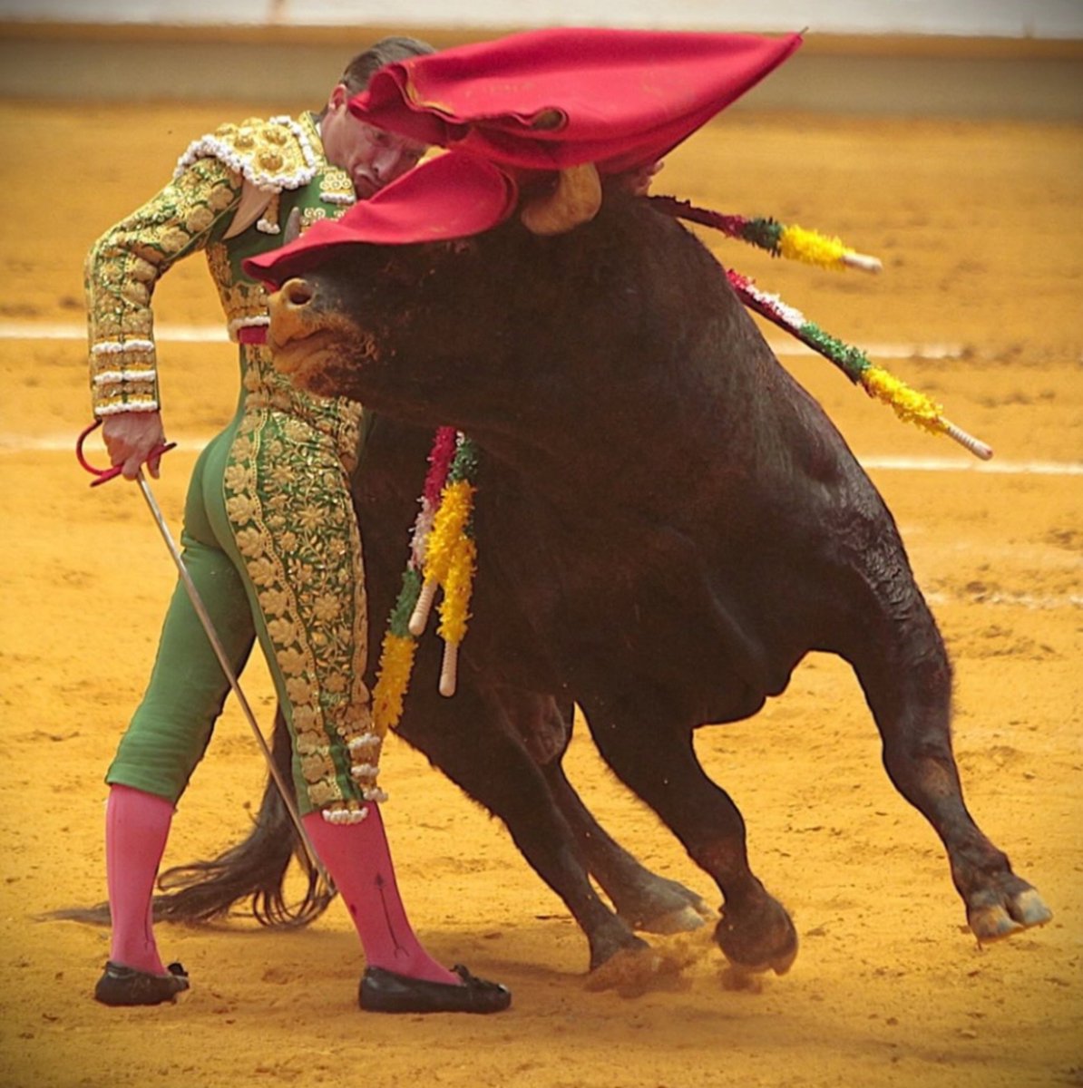ToreoArrebujao tweet picture