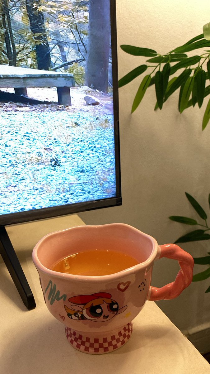 2u6am's tweet photo. قررت أحارب الاحتقان بالأعشاب 🍋‍🟩🍯🫚
لاني كرهت الأدوية 🙂😂 https://t.co/sF8zM3C2hu