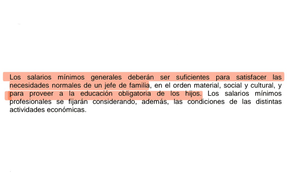 WorkingKlassHer's tweet photo. Qué nervios, ya casi es día de muertos, le voy a poner ofrenda a este fragmento de la constitución, por pinche letra muerta 💀 https://t.co/cTugLSb1hF