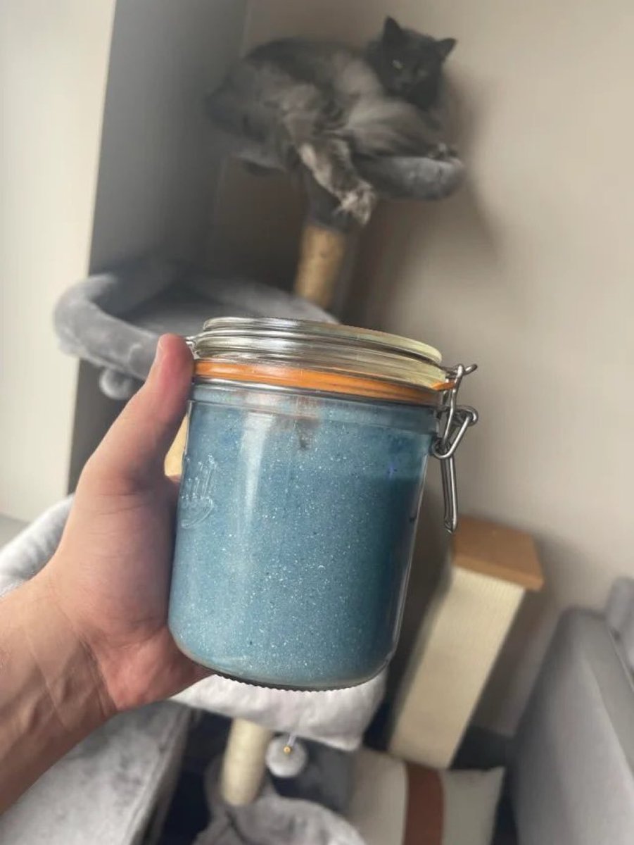 willsmiths237's tweet photo. "Blue honey", dried psilocybin mushrooms and honey. If kept in a cool, dry place, the mushrooms should last indefinitely.

#Drugtwt https://t.co/BBAXHiKMht