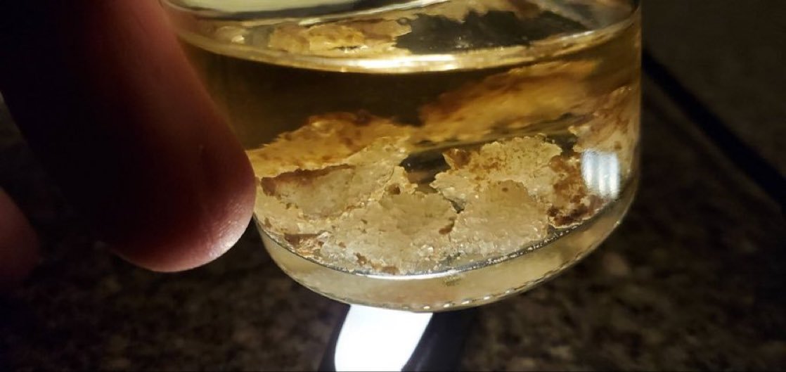 willsmiths237's tweet photo. Crystals of the Gods"
Psilocybin extracted with ethanol, from mushrooms #Drugstwt https://t.co/2Ax6YUlkC7