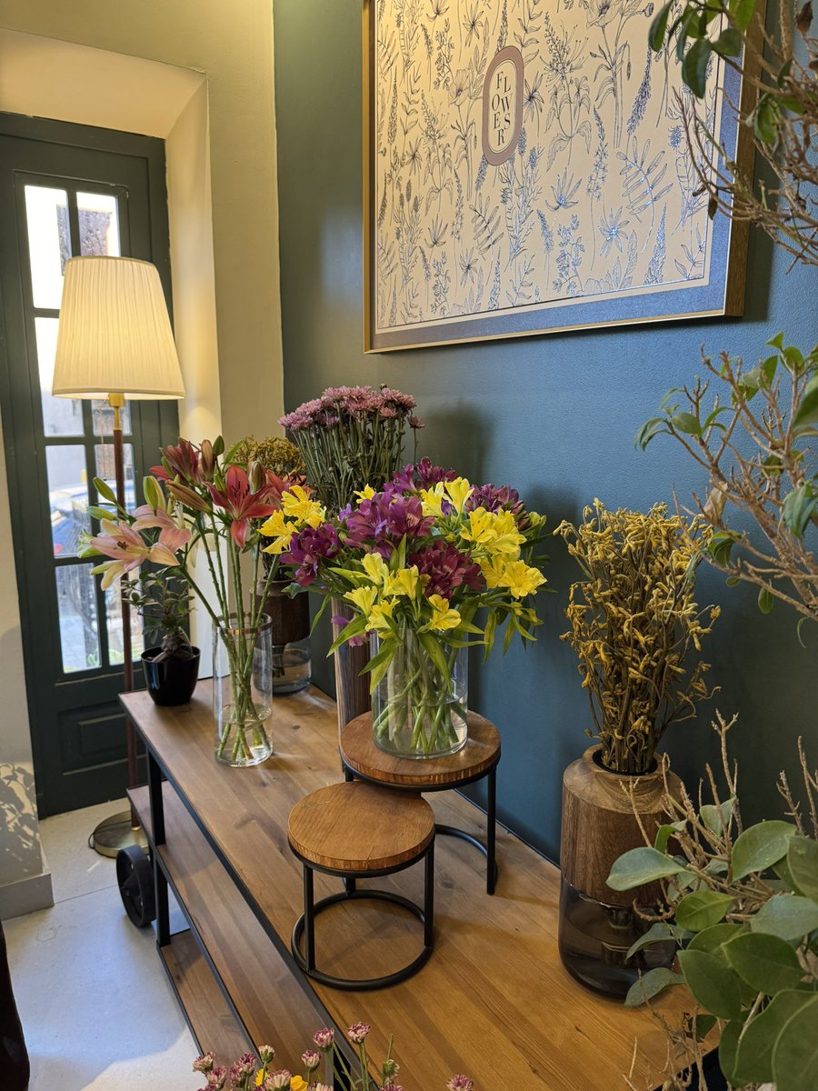 SZgalie's tweet photo. Cozy 🌱 https://t.co/N1rXqoUeBd