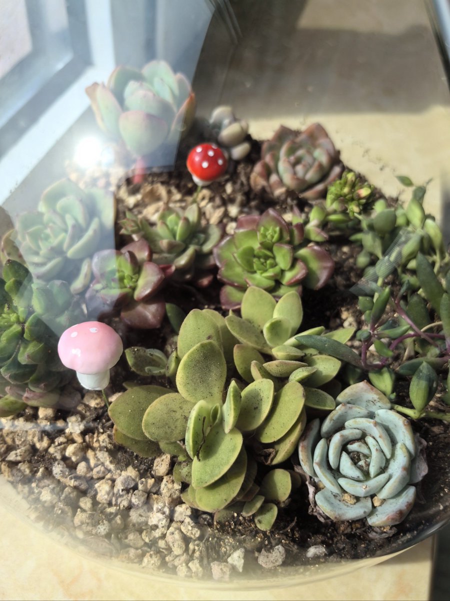 JoellaMont9d6o's tweet photo. Turn an old mason jar into a chic hanging planter! Add some succulents u0026 it’s the perfect tiny decor for my desk. https://t.co/khBcymYXG2