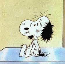 Jlarraga7's tweet photo. Mood: https://t.co/bkxaCvNF5F