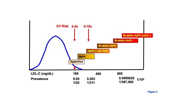 DeBakeyCVedu's tweet photo. Homozygous form of FH is orphan disease in ~1 in 367,000. It requires early, intensive treatments including LDL apheresis &amp; specialized therapies in some.

#FamilialHypercholesterolemia-Iulia Iatan &amp; Jacques Genest at #McGillUniversity
https://t.co/2jR3CowcZz #DeBakeyCVJournal https://t.co/uk24njcMmI