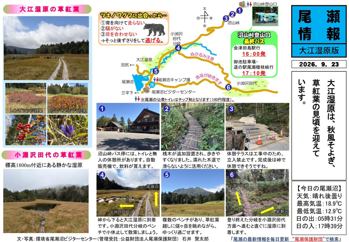 Ozenuma_VC's tweet photo. 2026年9月23日（水）の大江湿原付近の登山道の様子をお伝えします。
https://t.co/9ai9nAyWdU https://t.co/9MKl3jhYCb