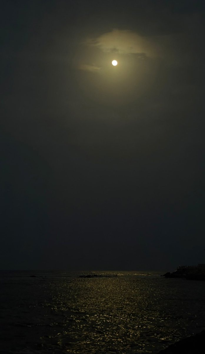 Elleuqt's tweet photo. For a moment, it was just me, the sea, the smoke, and a mind that finally went quiet. https://t.co/CkVZLeuLx7