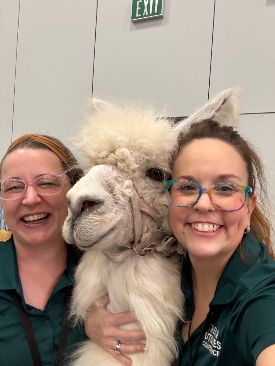 ArboristUtility's tweet photo. Learning is front and center at #TreesAndUtilities, but so is having fun! From grape stomping at the @Asplundh_Tree networking event to meeting Caesar the Legendary Llama, attendees are building connections and making memories in Portland. #Networking #UtilityForestry https://t.co/72Dqiy4HMC