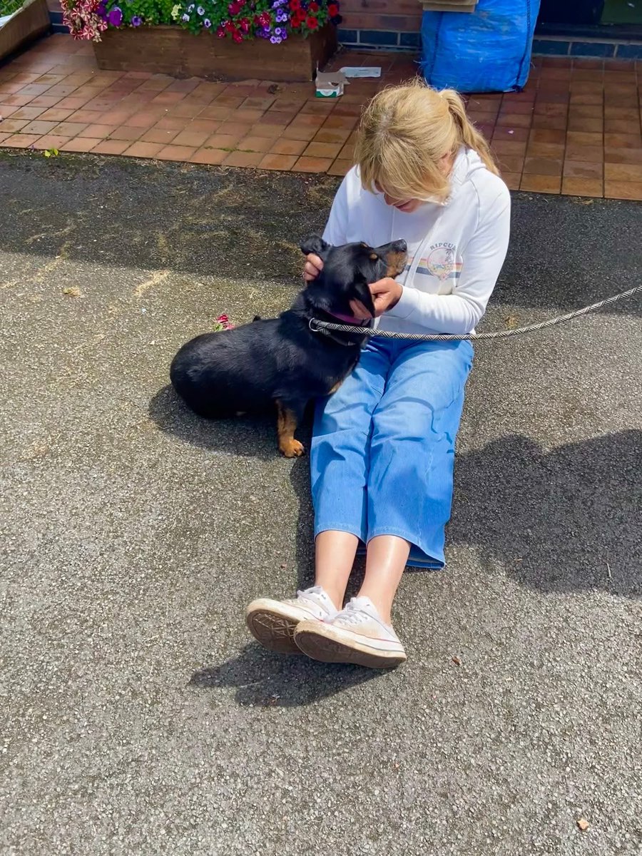 SadiesDogRescue's tweet photo. 🐝👑 Our Queen Bea 👑🐝
Still patiently waiting in UK 🇬🇧 kennels for someone to notice her & choose her. 🙏
Bea dreams of days snuggled up with her person, having belly rubs. 🥰
Pls see... ⬇️
https://t.co/9iOmFwMKW4
https://t.co/pxZBAOsCWm
Pls share #forgottensoulshour https://t.co/oBkKJQFhqH