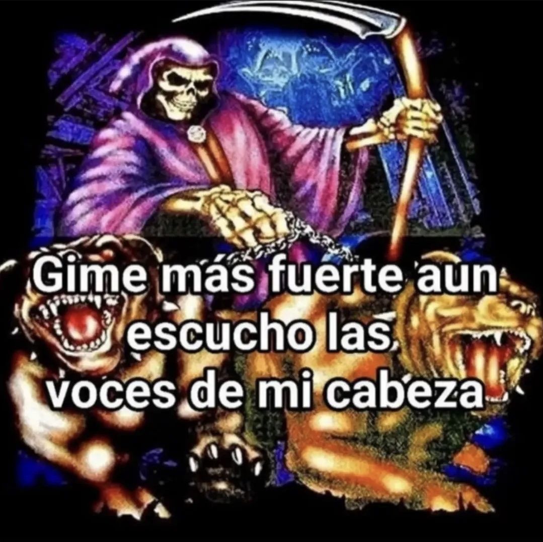 wikipistacho's tweet photo. https://t.co/yTEc7luy2V