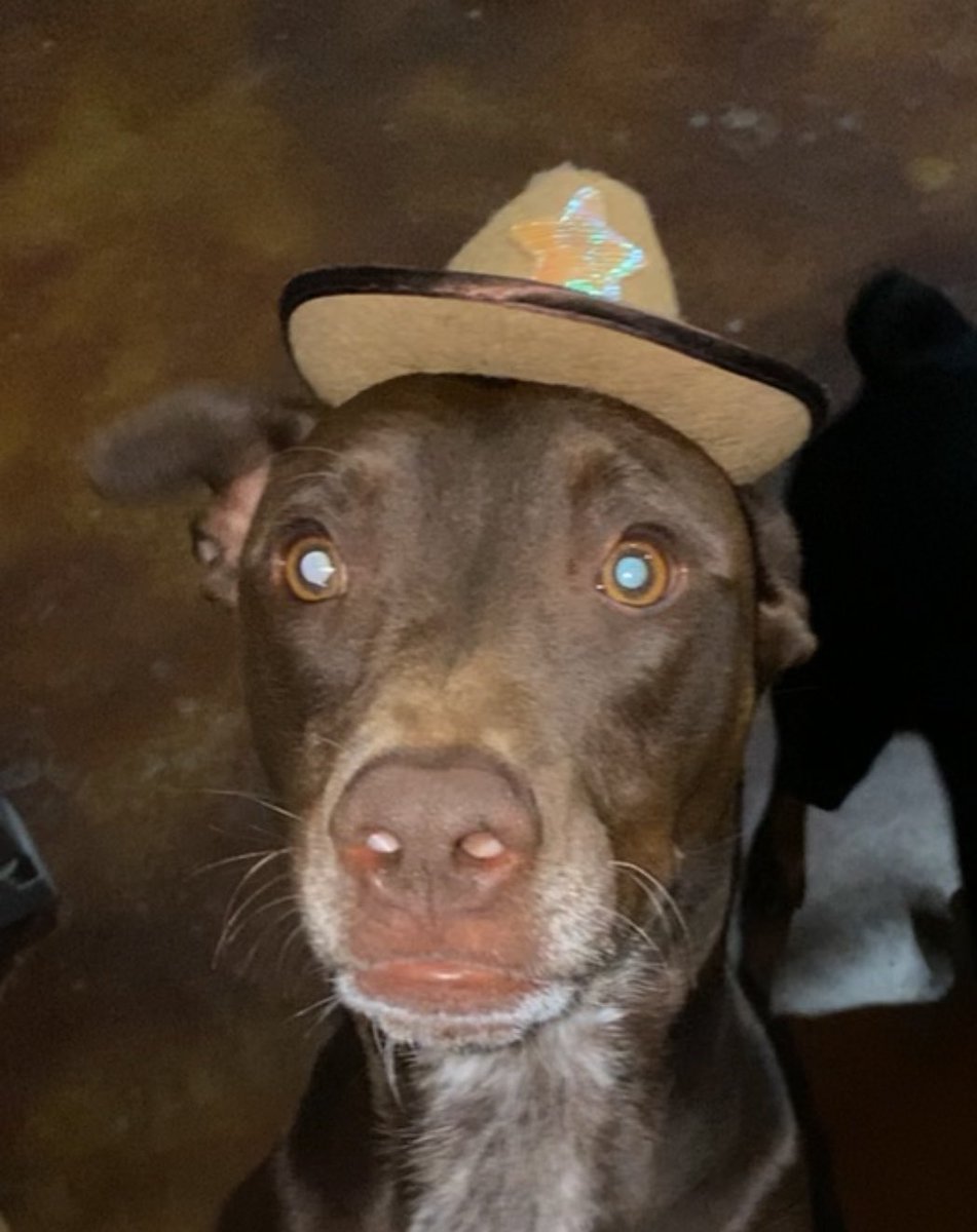 PowaPrints's tweet photo. Copper Wif Hat https://t.co/uuGssysC5L