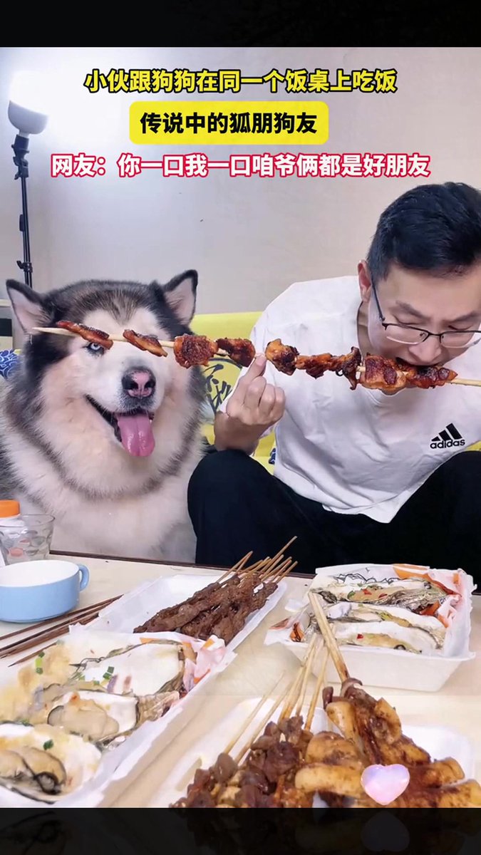 TerrenceRokxw's tweet photo. A lazy Sunday with my favorite people: pancakes that burnt a little, silly board games and the dog stealing half our snacks https://t.co/DBmdkYtJta