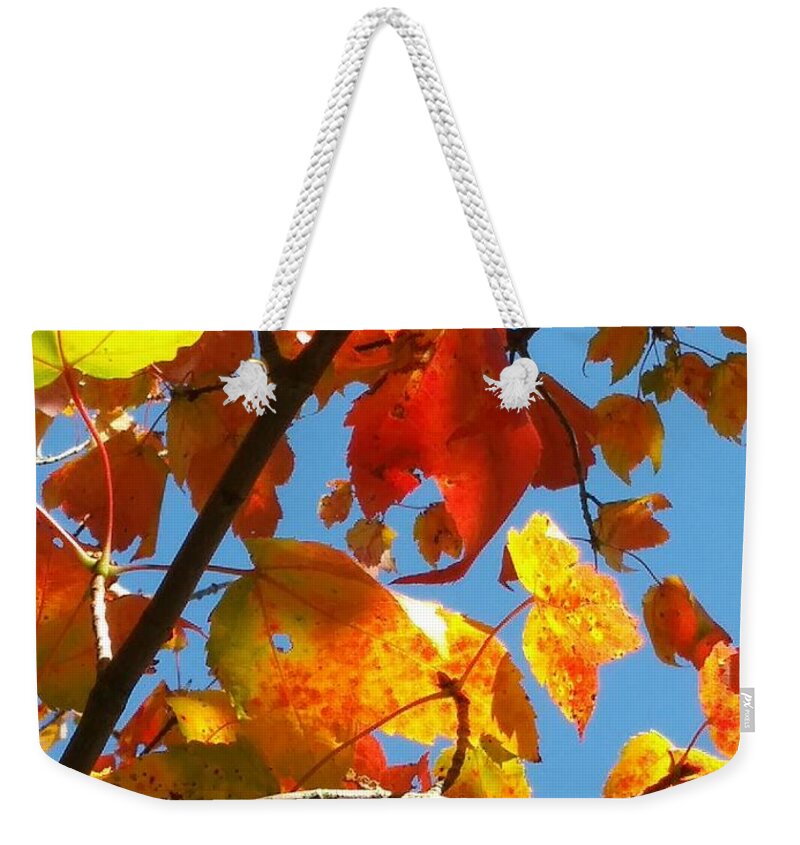 AtlasTracer's tweet photo. #autumn #weekender #tote
#atlastracer
https://t.co/tSakiw6C6y https://t.co/4z2R9TKB8h