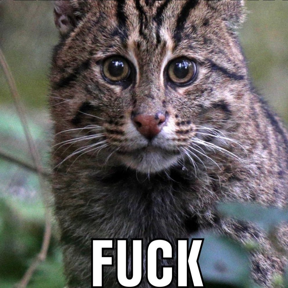 erlehaha's tweet photo. @iheartdatrian4u @AbrFroman I am part genetically modified organism? https://t.co/Ol5mo4V2Of