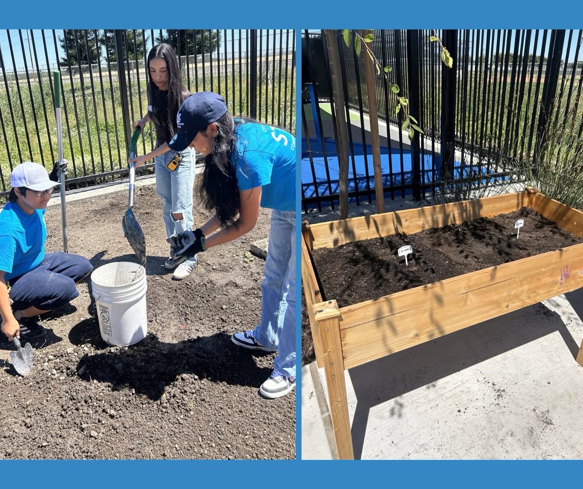 SSJCPL's tweet photo. More ways to grow!

At Ursula Meyer Library and Recreation Center, our Library and Recreation teams come together to make great things happen for our community. This time, it meant getting our hands in the soil and helping start the center’s herb and wildflower garden! https://t.co/VAwk4LIX1E