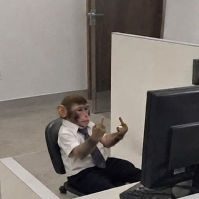 hamm_ixx's tweet photo. @oxgeek this is the kind of support he gets in web3 https://t.co/tWD4EiuE1V