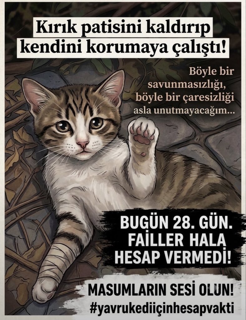 dynabella43's tweet photo. Minik kedinin katili hala aramizda!! 
#30GündürKatillerAramızda https://t.co/9DQv0PyCv7