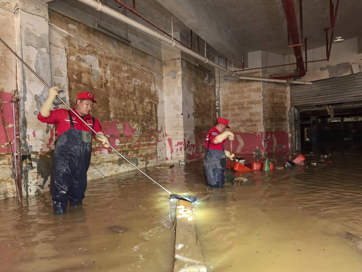 Kim7000kkw's tweet photo. [Small aphid pest found in the flood-affected area, local teams start emergency control measures quickly]， https://t.co/dIksRuM5LM