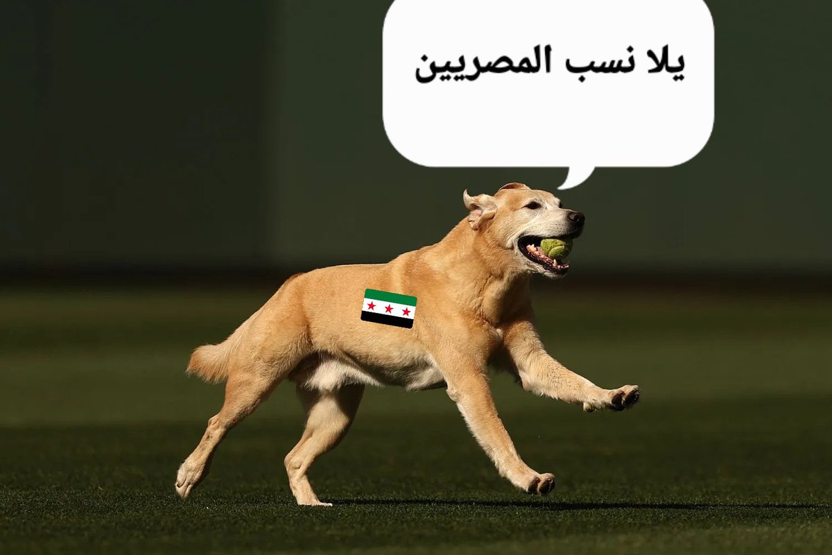 3BD_Al3zeezZ's tweet photo. اسرائيل تفحط في بلده

هو: https://t.co/mM4ER4SnuT