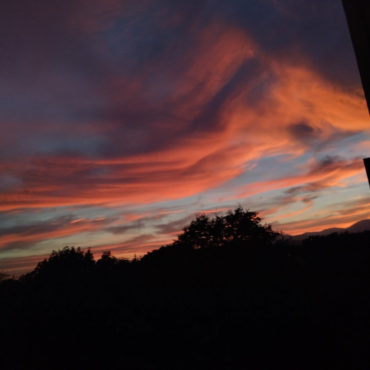 MerceFreixa's tweet photo. https://t.co/UEZgngrbFT
