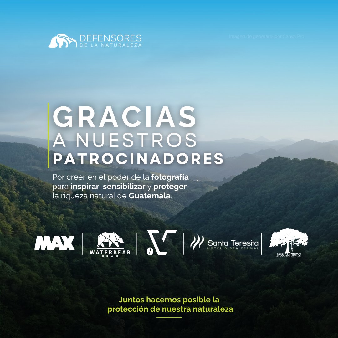 Defensores_FDN's tweet photo. 🌿📸 Gracias a MAX de Distelsa, Volcafe, Santa Teresita, Tree Climbing y WaterBear por apoyar SILVESTRE y la fotografía como herramienta para conectar con la naturaleza y promover su conservación. 💚 #SILVESTRE #ConcursoFotográfico #DefensoresGT #Conservación https://t.co/yJGocZScVj