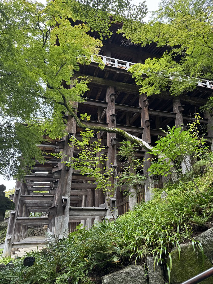 snaka110's tweet photo. おはようございます。西国33所特任中先達の旅は札所16番清水寺にお参りしました🙏9/17参拝   9時過ぎにお参り行きましたが、まあまあ空いてます。修学旅行が多くタクシーのドライバーがガイドしてるので 聞いてたら👍「清水の舞台から飛び降りる」気持ちでやる！ 下見たら😱🙏 #西国巡礼 #清水の舞台 https://t.co/qd8EibfNuf