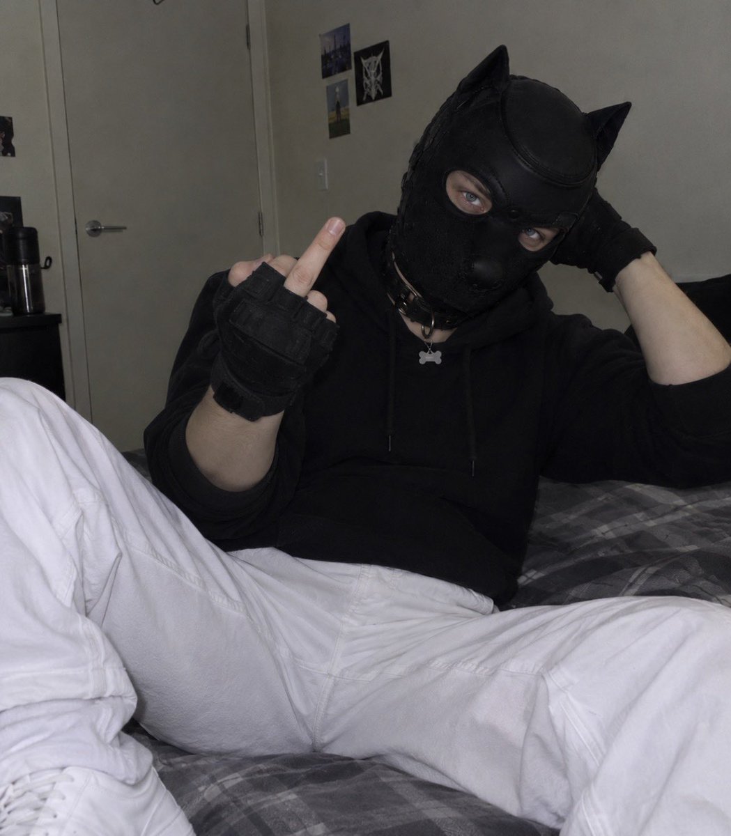 john_puppy99's tweet photo. Just your favorite little troublemaker🐾🖤

#Pup #Puppy #PupLife #PuppyLife
#PupCommunity #PupVibes https://t.co/dQOq6WQmFk