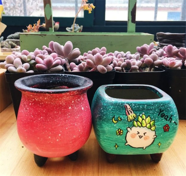 VerdaNillek2's tweet photo. Turning an old glass jar into a cute succulent planter with some spray paint u0026 pebbles—zero waste, all charm! https://t.co/1BADJ1p5FH