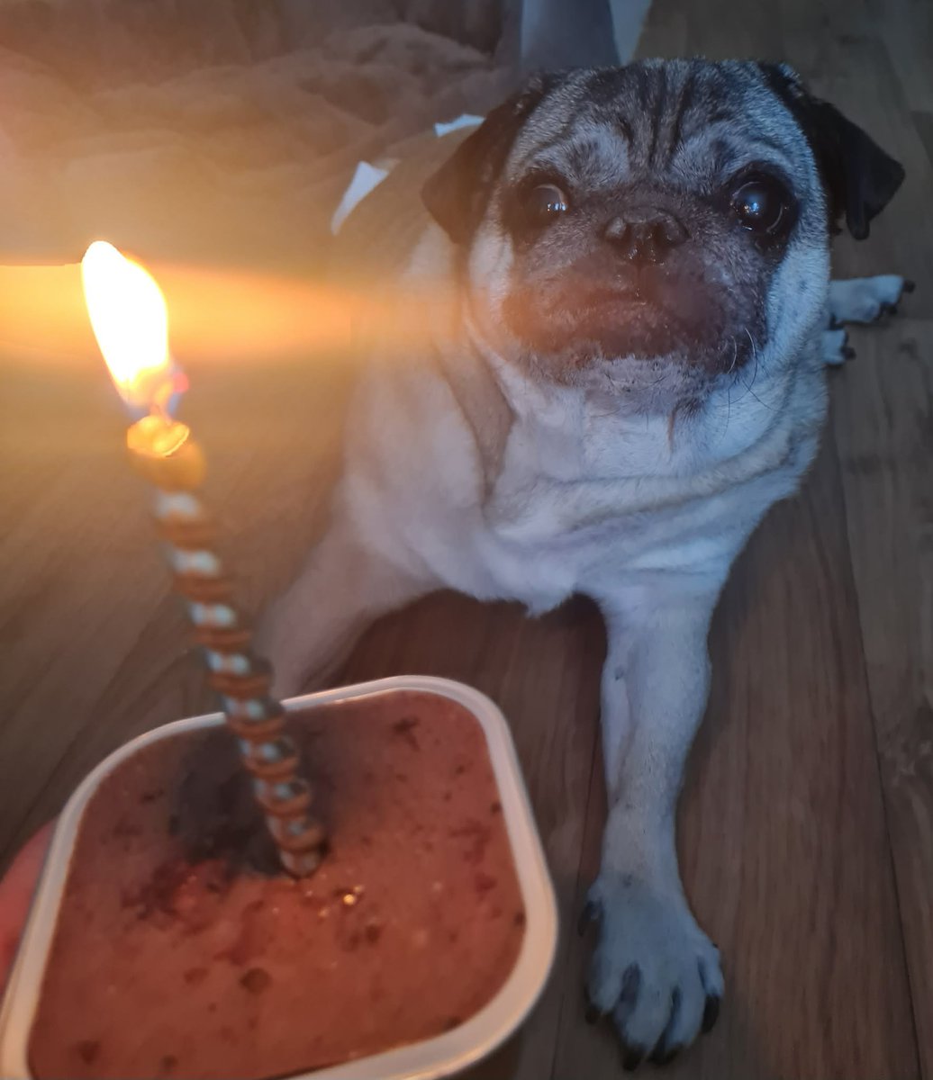 Jamescruiser51's tweet photo. Happy Birthday boy 🥳 https://t.co/AgUJpLXDn3