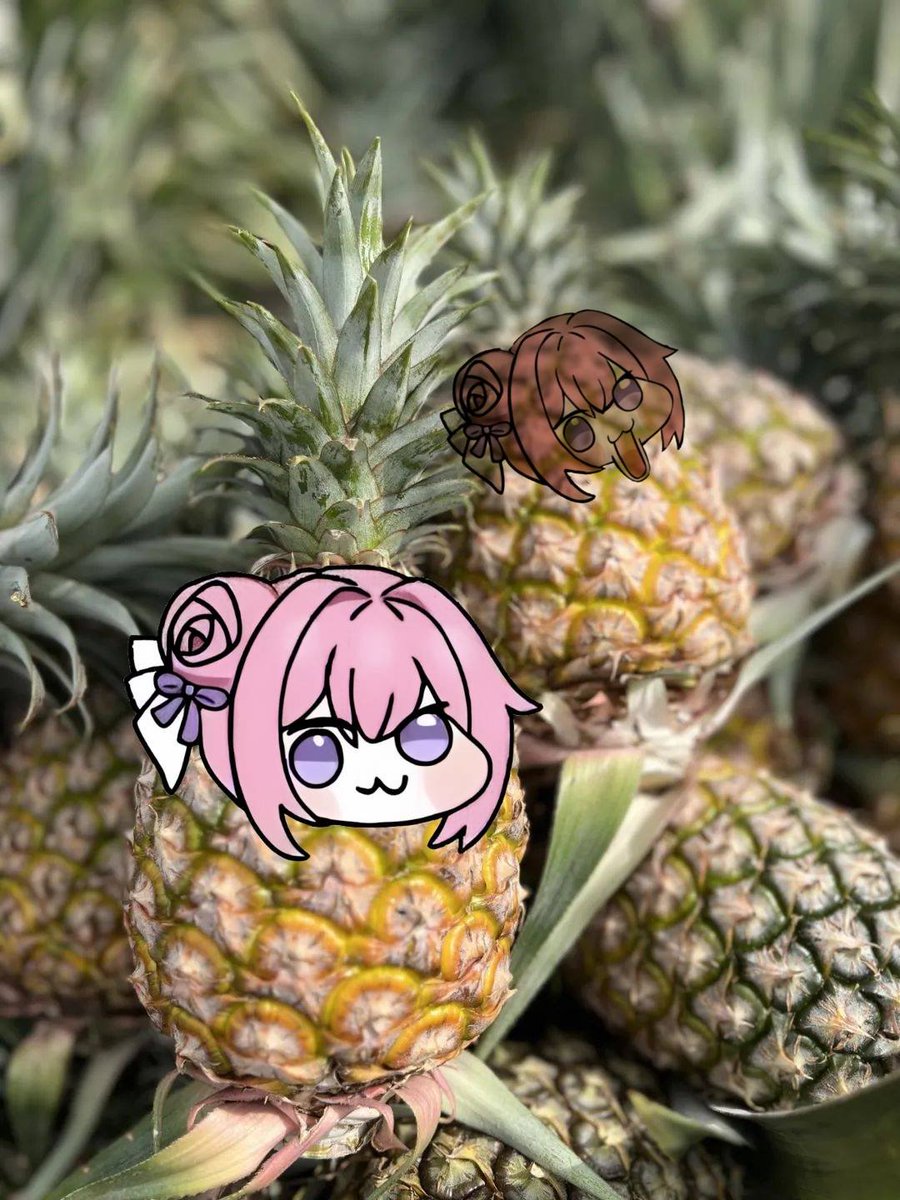 DoroStar5522's tweet photo. Doro piña https://t.co/0vSyosTfS2
