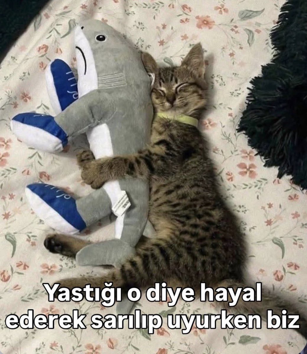 conconunuzz's tweet photo. Bu gece bizdirr https://t.co/NsDC0liL2F