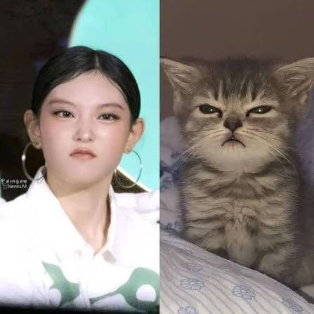 wanwanmaw's tweet photo. @revebunni grumpy cat https://t.co/cwQP4Qq07x