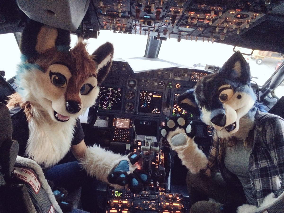 RivaloWolf's tweet photo. Sorry guys, they must have seen the photo... https://t.co/DD9a2SmysK