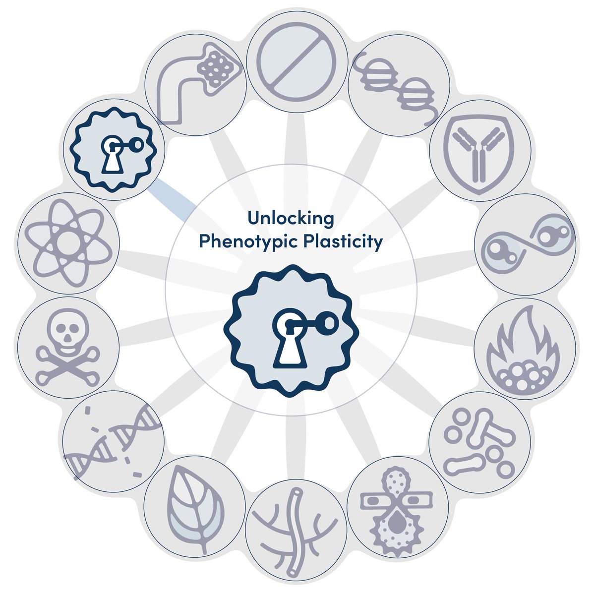 CellSignal's tweet photo. EMT is an example of phenotypic plasticity driven by dedifferentiation that can facilitate cancer progression

Use CST® IHC-validated antibodies against E-Cadherin and N-Cadherin to determine if the cadherin switch has been activated in your cancer model
https://t.co/A3hnM18ACp https://t.co/VmVi1PaHqV
