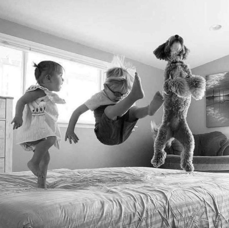 MQuigley1963's tweet photo. Are you ready to get your happy on? It's Friday. Have a great day, everyone.
#friday #fridayvibe #weekend #weekendishere #weekendfeeling https://t.co/aeGH42iGpl