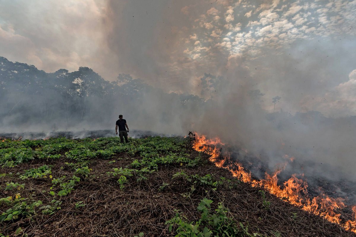 AbiluTangwa's tweet photo. Stop calling it a climate problem.
Call it what it is: organized greed.
The planet isn’t dying. It’s being killed for profit.
The killers have names. And boardrooms.
#ClimateJustice #StopEcocide https://t.co/4nN7LV8qvV