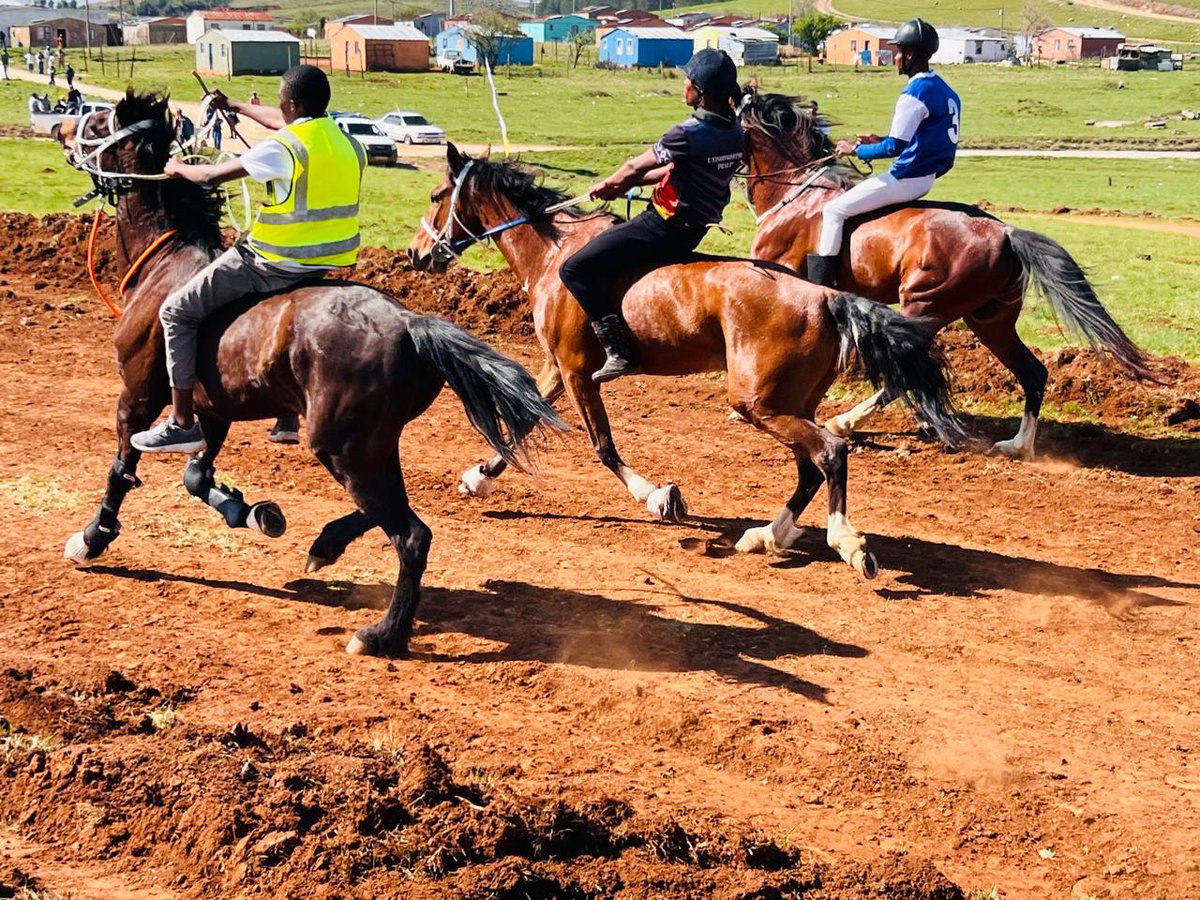 ElundiniLM's tweet photo. The Department of Sports, Recreation, Arts and Culture in collaboration with Elundini Local Municipality, commemorated Heritage Day with a prestigious Horse Racing event at Bhekela Race Course today. https://t.co/cNFNtL6BB9