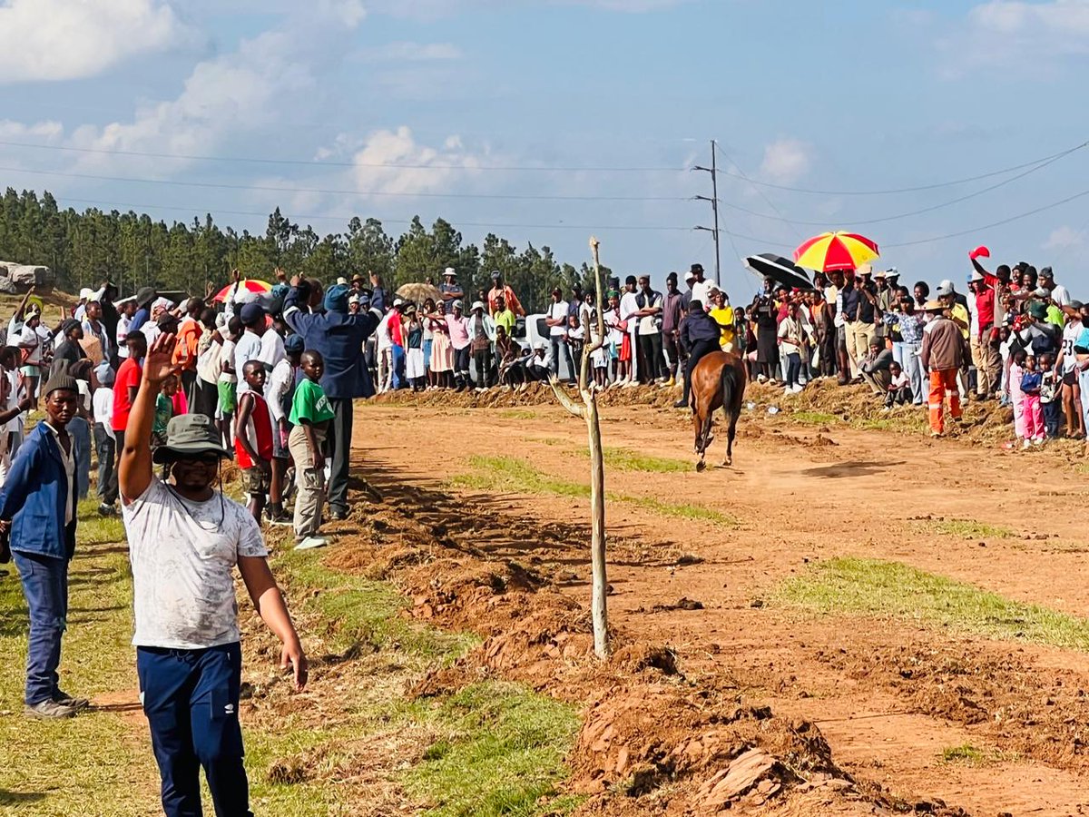 ElundiniLM's tweet photo. The Department of Sports, Recreation, Arts and Culture in collaboration with Elundini Local Municipality, commemorated Heritage Day with a prestigious Horse Racing event at Bhekela Race Course today. https://t.co/cNFNtL6BB9