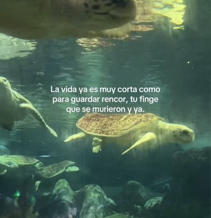 mmarinavidal's tweet photo. https://t.co/QgqFnqqnnp