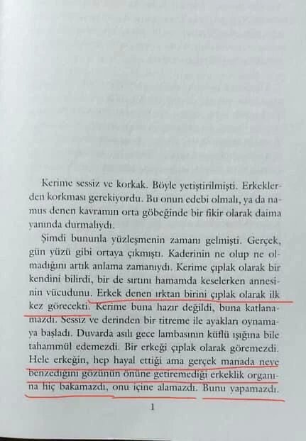 haciosmanoglue's tweet photo. Hatırlamışken, Oyuncu Bahadır Yenişehirlioğlu'nun kaleme aldığı "Kerime" isimli kitabında kullandığı müstehcen ifadeler kız kardeş ile ağabeyi arasındaki bir ensest durumla ilgili görünüyor.

"ERKEKLİK ORGANI"

Yenişehirlioğlu, kitabın 1. sayfasında, "...Erkek denen ırktan birini çıplak olarak ilk kez görecekti...Hele erkeğin hep hayal ettiği ama gerçek manada neye benzediğini gözünün önüne getiremediği erkeklik organına hiç bakamazdı, onu içine alamazdı..." ifadelerini kullandı.

"EDEPSİZLİK İLE SUÇLANIR MIYDI"

Yenişehirlioğlu, aynı kitabın 2. sayfasında ise, "Kendi kendine bu hadise bu kadar korkutucu geliyorsa, başka biri bunu gerçekleştirdiğinde ne yapacaktı? Nasıl karşılık verecekti. Öylece sessiz bir şekilde yatacak, hiçbir karşılık vermeyecek miydi? Ya da karşılık vermeli miydi? O zaman bu doğru olur muydu? Edepsizlik ile suçlanır mıydı? Karşılık verecekse bunu nasıl yapacaktı" diye yazdı.

Kitabın 8. sayfasında ise daha da ileri giden Bahadır Yenişehirlioğlu, kitapta geçen "Kerime" karakterinin bacak arasından sallanan erkek cinsel organından bahsediyor.

"KOCAMAN BEYAZ KIÇ"

"Kerime tekrar gözlerini korkarak açtı ve sırtı dönük olanın eğilmiş vaziyette arkadan büyük beyaz kıçını küflü gece lambasının aydınlattığı kadarıyla gördüğünde ölecekmiş gibi hissetti... Kerime, kocaman beyaz kıçı görmüştü, bir de bacak arasından sallananı..."

https://t.co/8izJW1EXMJ