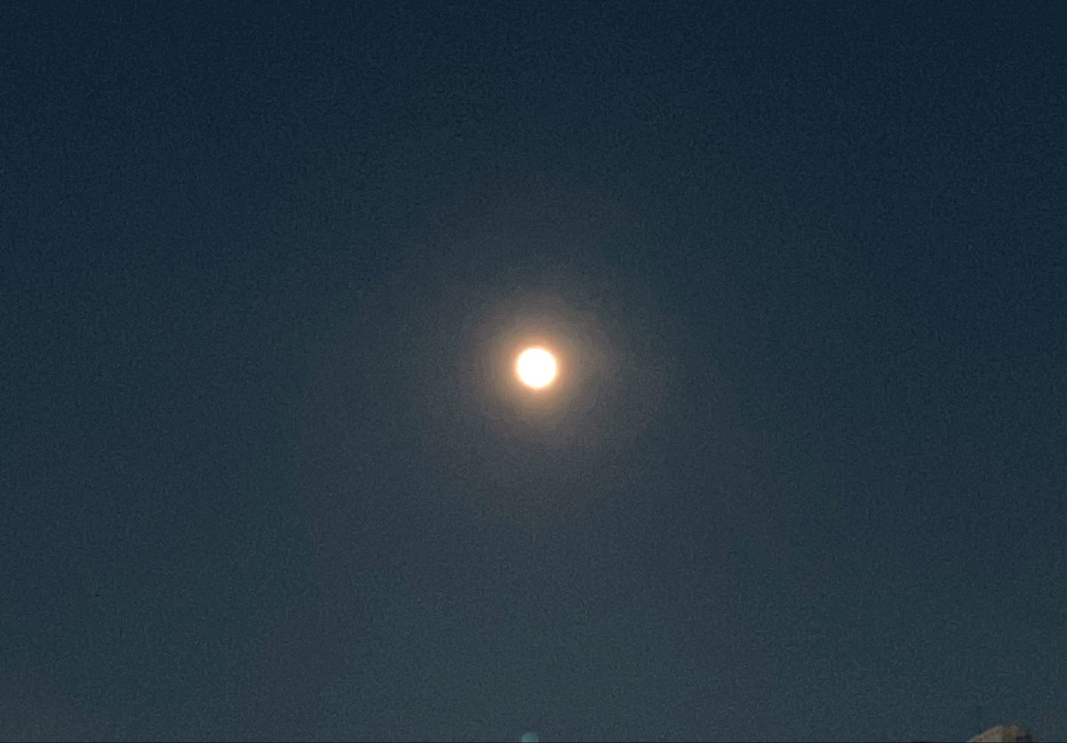 fawnisland's tweet photo. 🌕十五夜

旧暦8月15日
中秋の名月🎑

部屋の明かりを消して
夜空を見上げると見える🐇
#うさぎ

幸せなひとときを🍵
#畳コースターうさぎ

✍️満月は明後日の未明

#鹿児島中央駅ライフ https://t.co/p37VVu0fYA