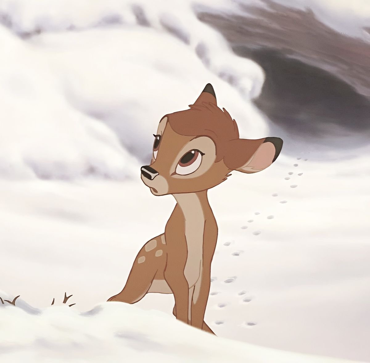 fallingforvera's tweet photo. Same photo she’s just a little Bambi 🦌 https://t.co/6TaiRSw7aZ