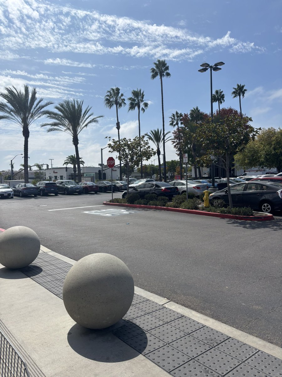 69trulove19's tweet photo. So many palm trees 🌴 https://t.co/iM8Dc1Ze2Y