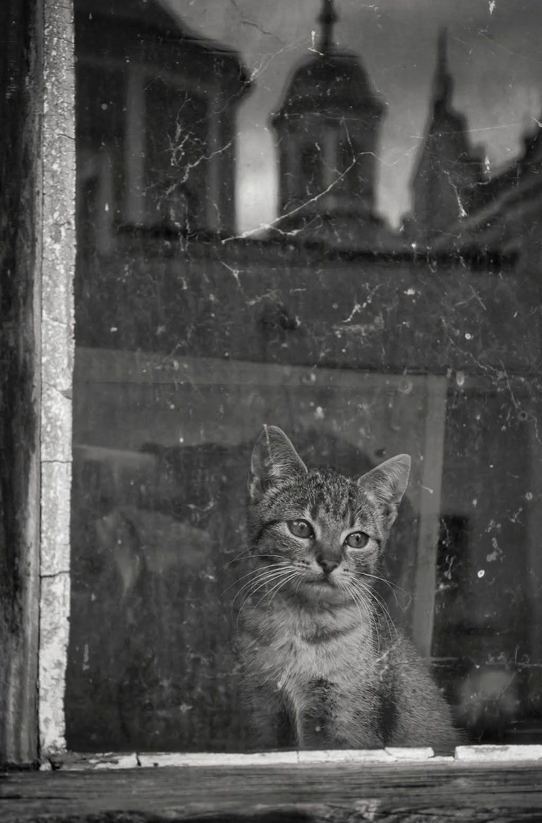 MajaSenda's tweet photo. Stranger Behind the Glass https://t.co/cCbmZcP6aJ