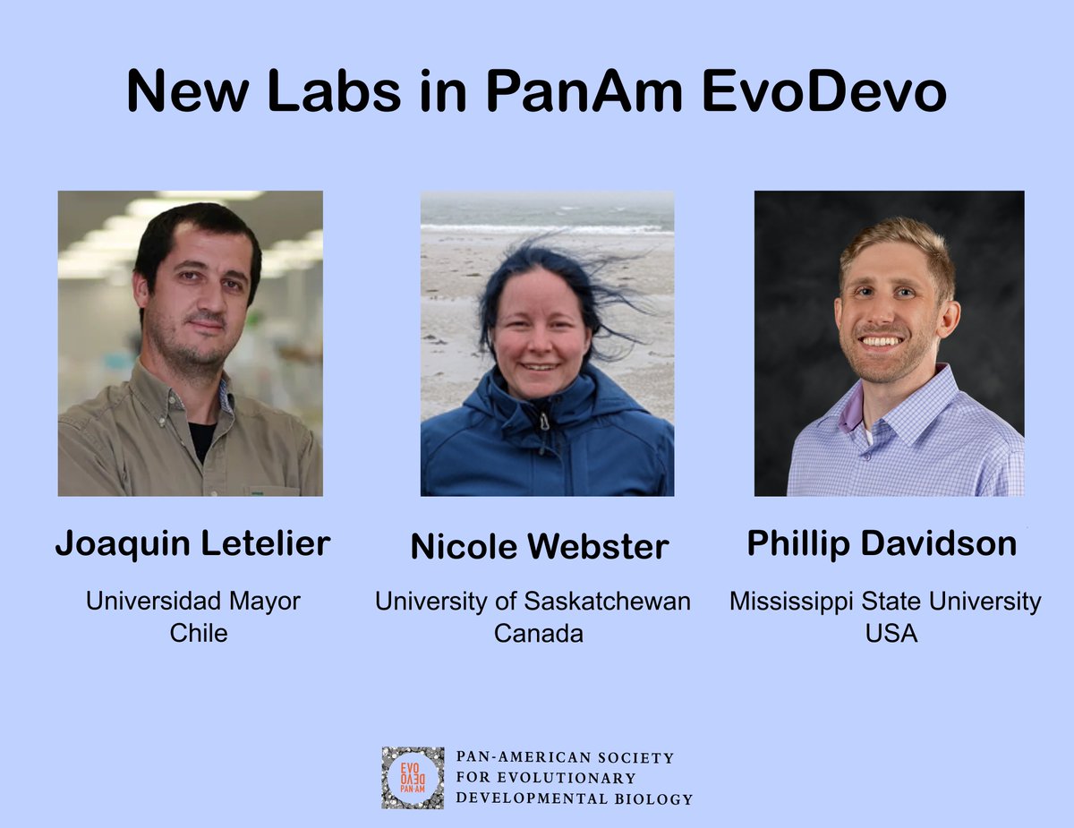 EvoDevoPanAm's tweet photo. 🌟A central mission of #PASEDB is to foster networking, discussion, and a sense of community 

We want to highlight new #EvoDevo labs in Pan-America. In our Newsletter September edition we highlight:

- Joaquin Letelier
- Nicole Webster  
- Phillip Davidson https://t.co/uUjbdV2Fws