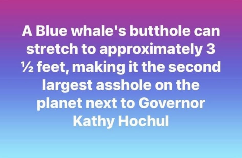 Talk2Kim67's tweet photo. @GovKathyHochul @NYCTSubway @MTA https://t.co/LA0uN8NunT