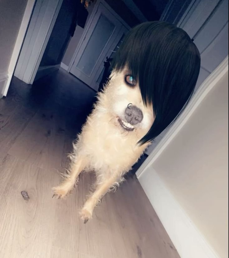 araa_neae's tweet photo. @l0v3Reive yo :( me caga sentirme excluido y por eso mejor me quedo solo en la uni https://t.co/8IX3CPIzuJ