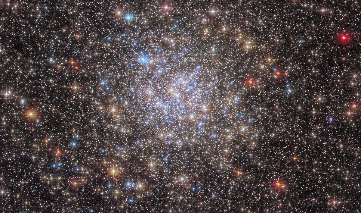 astrobey's tweet photo. Day 26 — Globular Cluster, NGC 6355

Location: Ophiuchus constellation
Distance: ~28,000 light-years

📌 Nearly as old as the Milky Way itself, this ancient cluster has survived for about 13 billion years, holding countless stars together in a tightly bound sphere. https://t.co/umktncOQG0