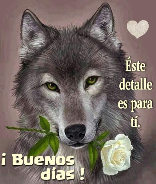 araa_neae's tweet photo. @dioseunstalker https://t.co/abzylu7E5g