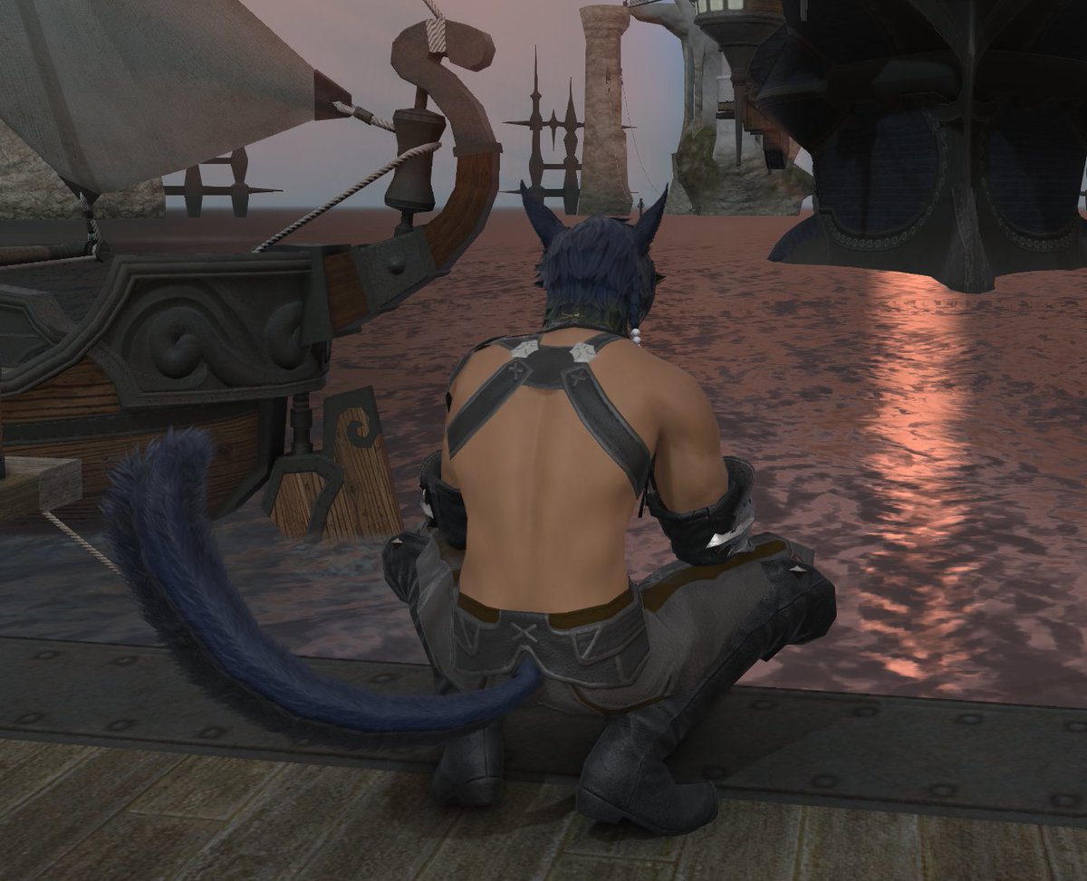 IUsedToPlayCOD's tweet photo. Picked up fisher...why are miqo backs so erotic 😭 https://t.co/lo8TysNWZ3